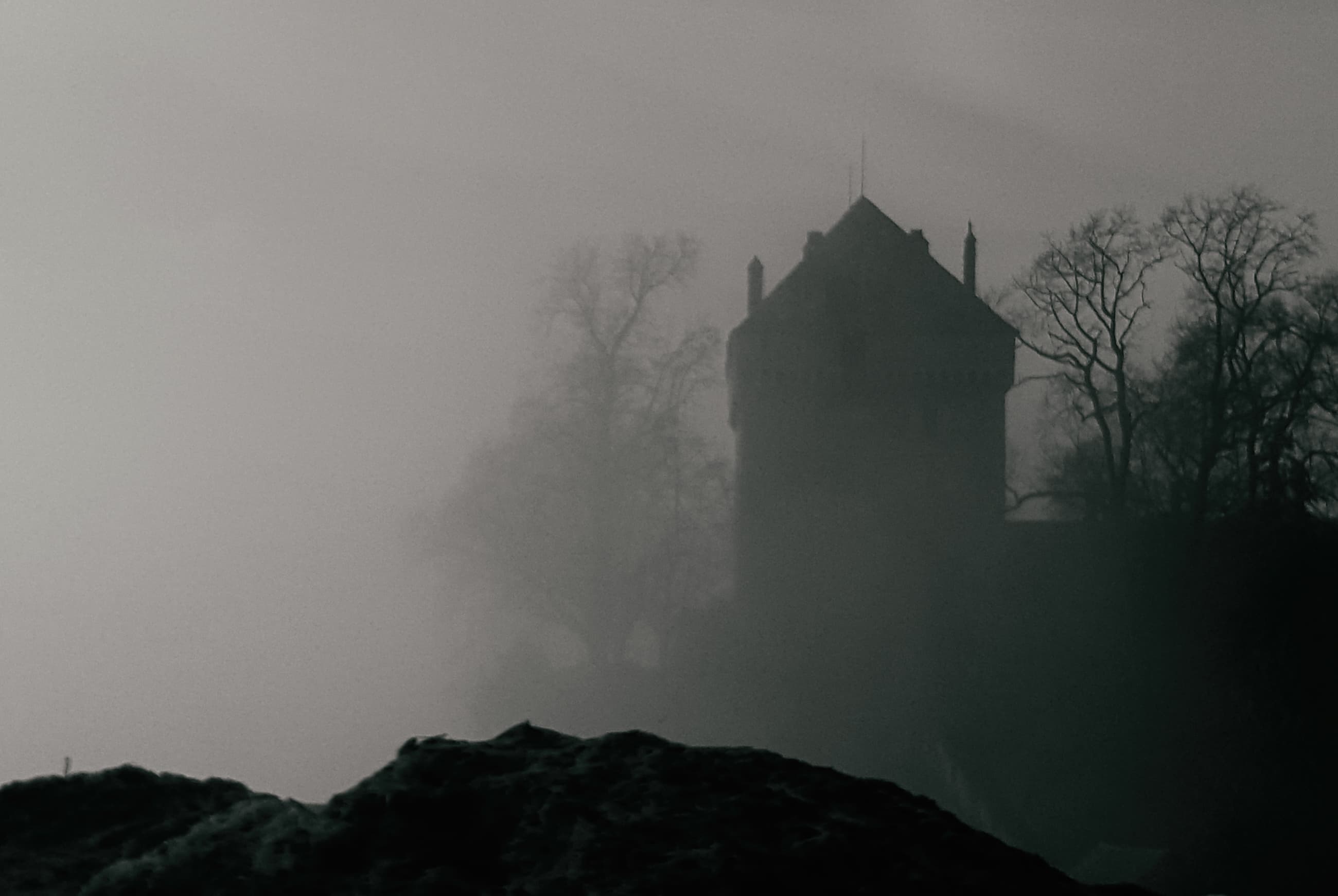 Photographie 7