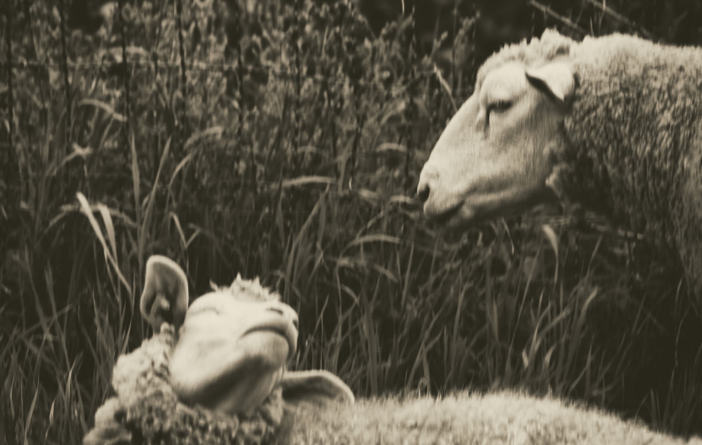 Photographie 5
