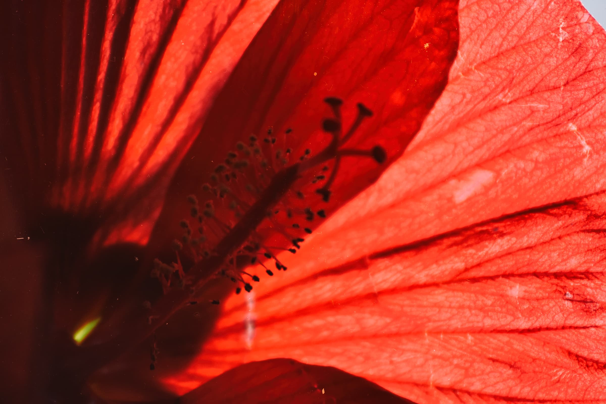 Photographie 1