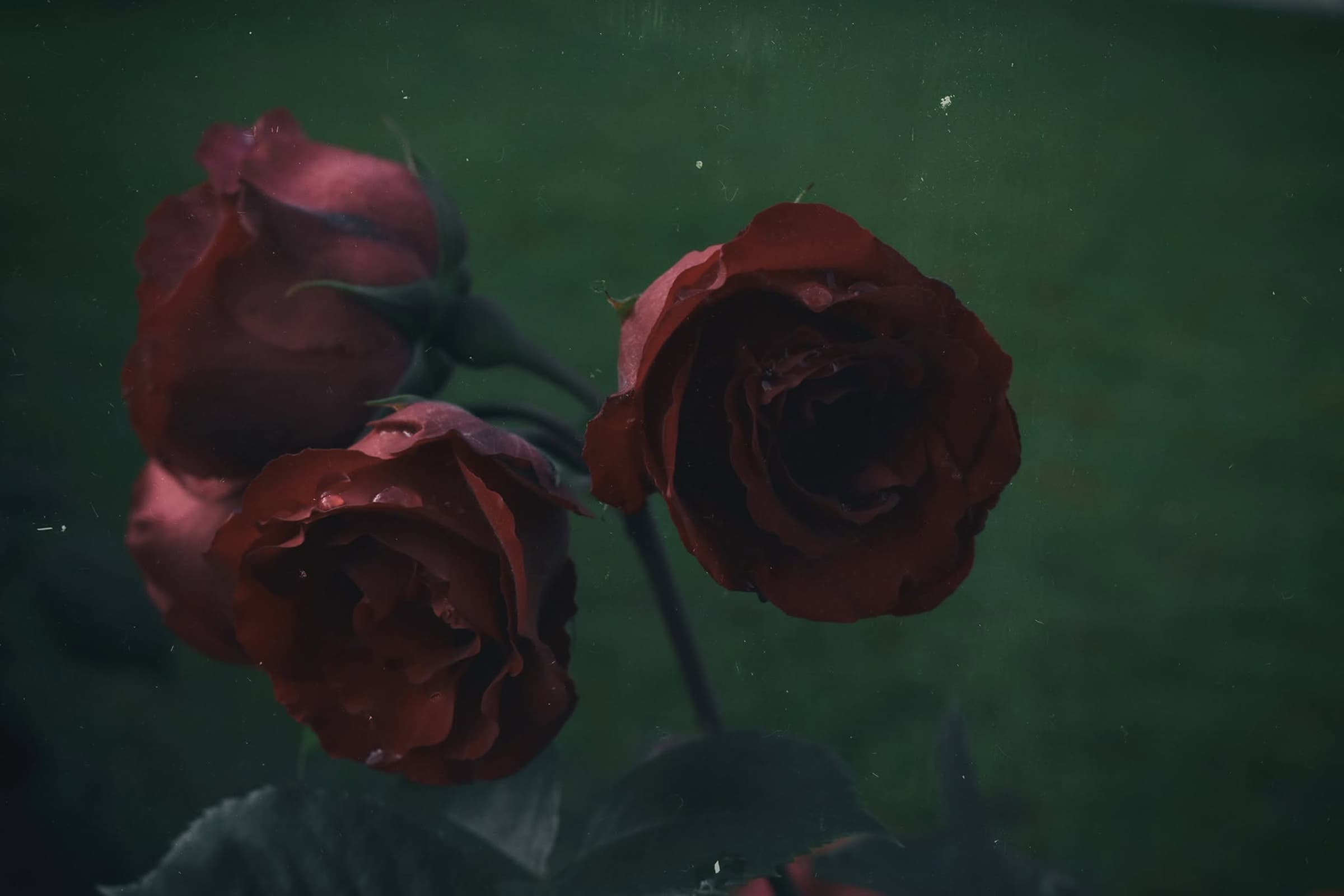 Photographie 9