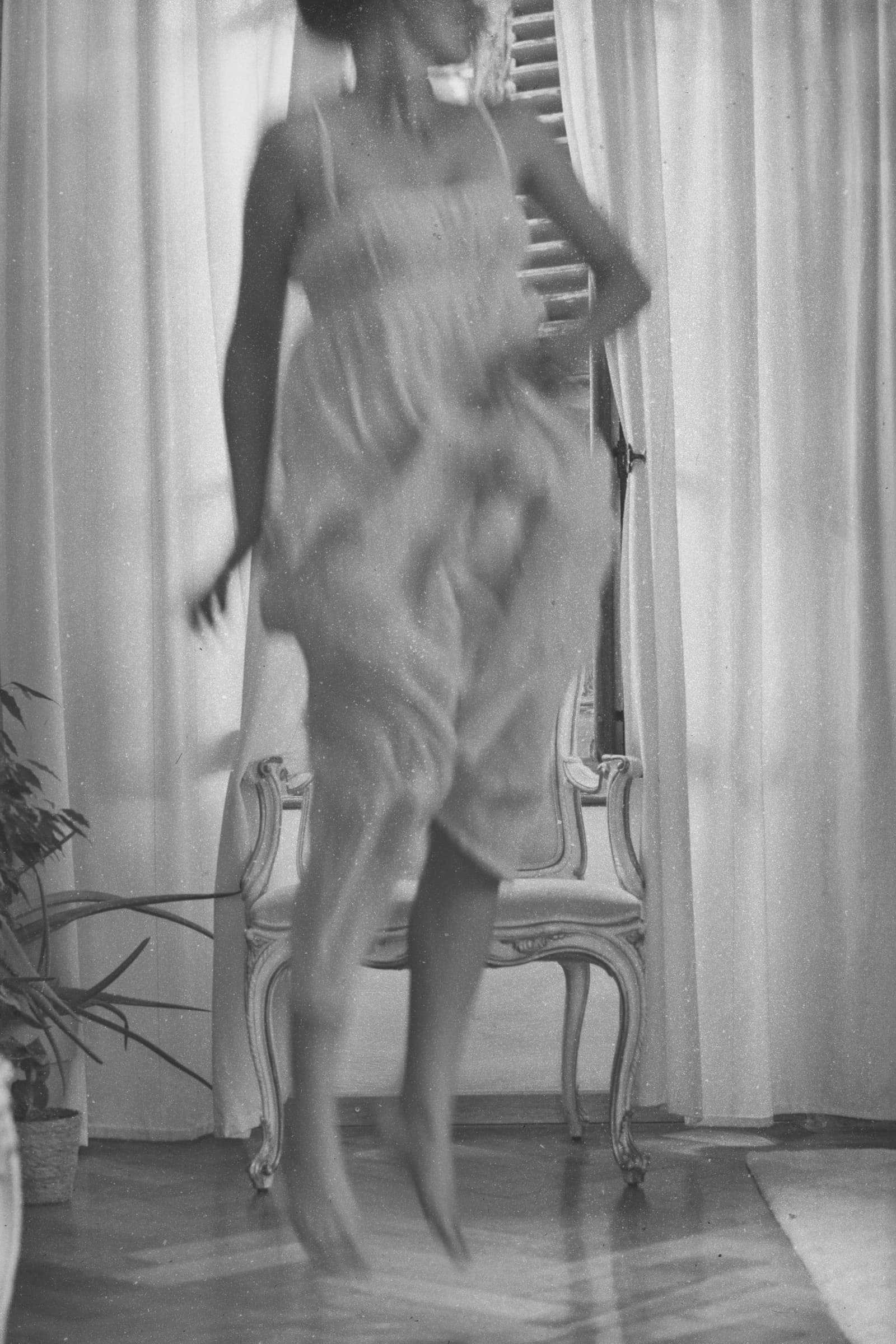 Photographie 4