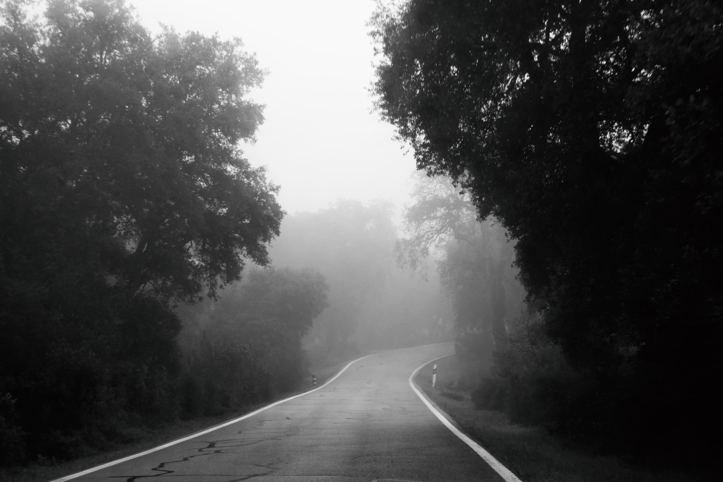 Photographie 1