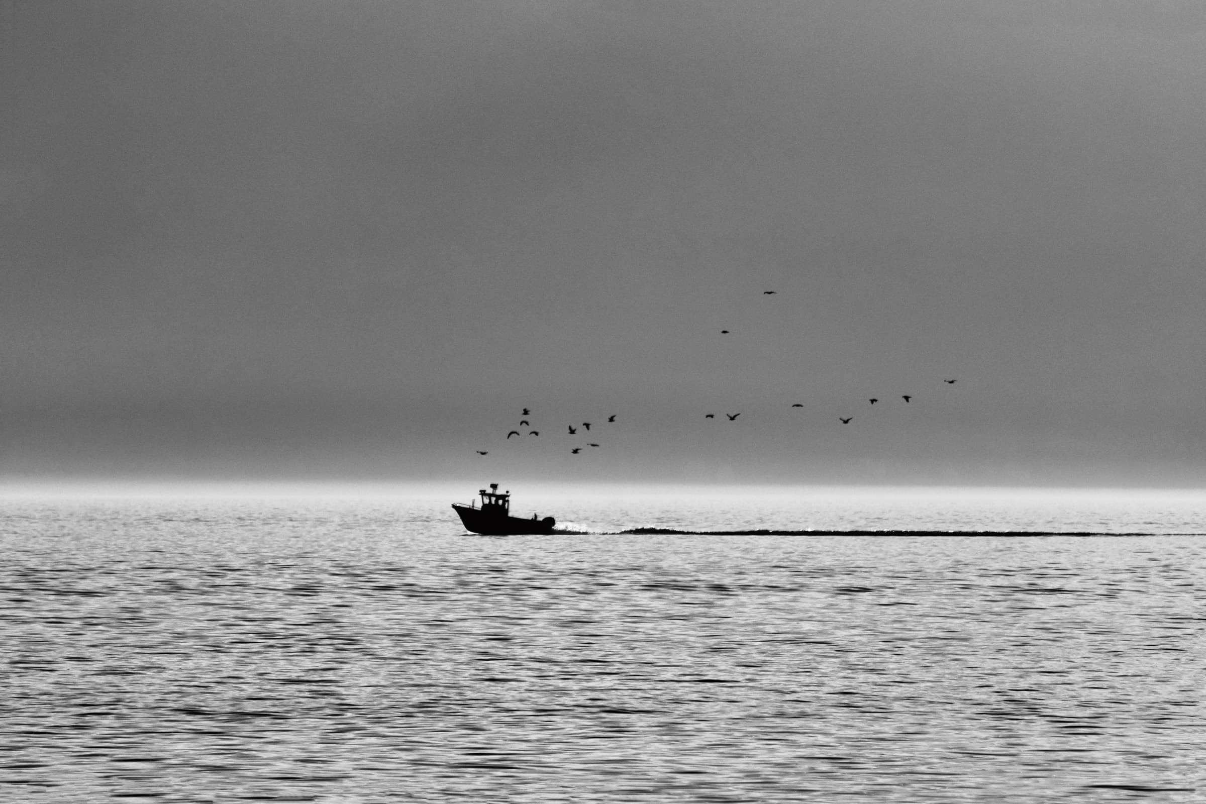 Photographie 3