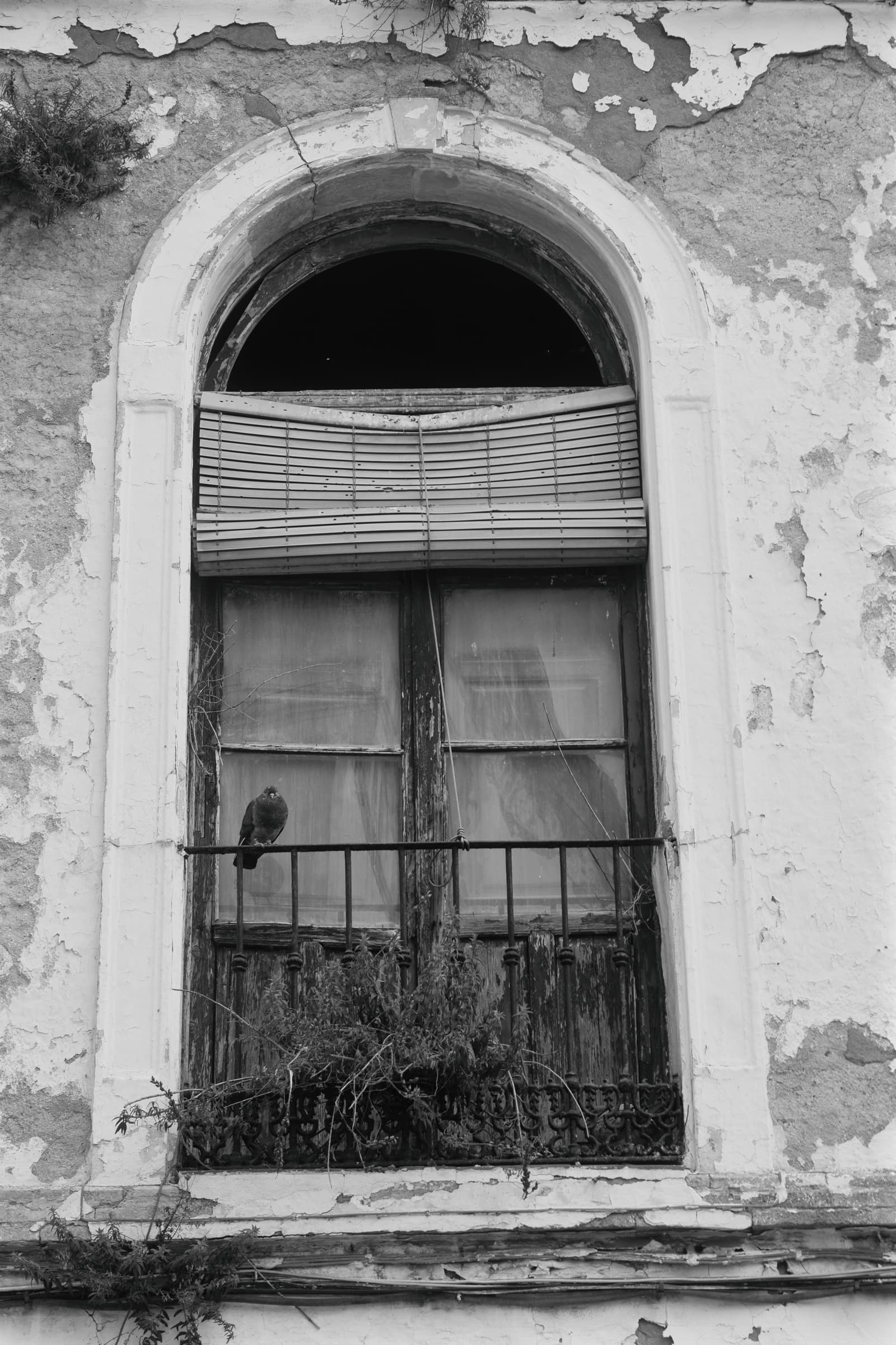 Photographie 4