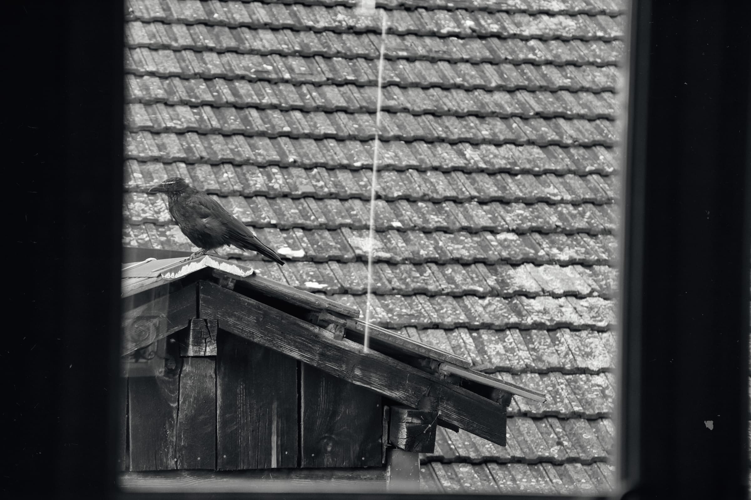 Photographie 5